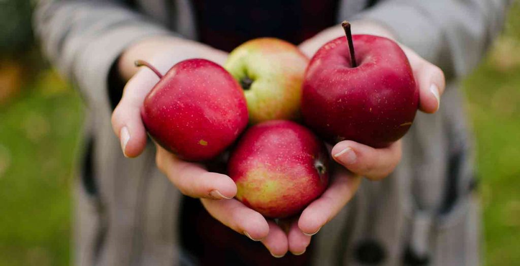 Äpfel: Lebensmittel richtig lagern