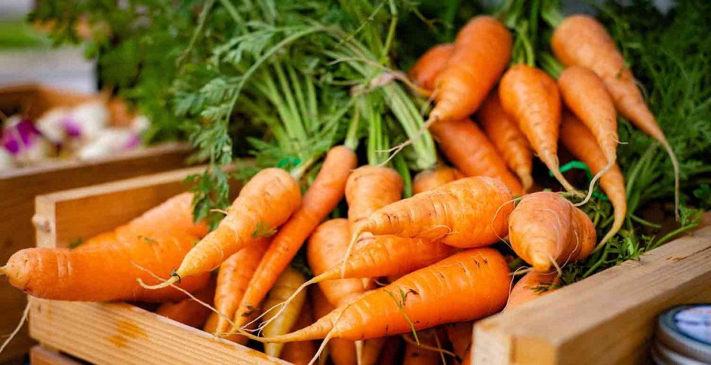 Karotten: Lebensmittel richtig lagern